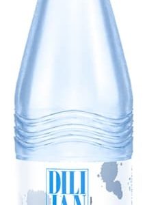 "DILIJAN" (Дилижан) 1л б/г