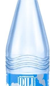 "DILIJAN" (Дилижан) 0.5л газ