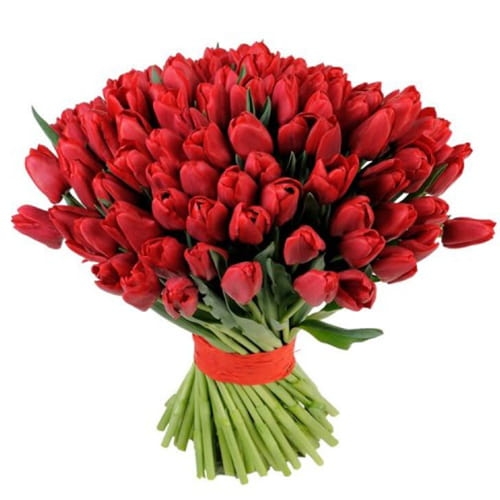 Букет красных тюльпанов – 101 шт.