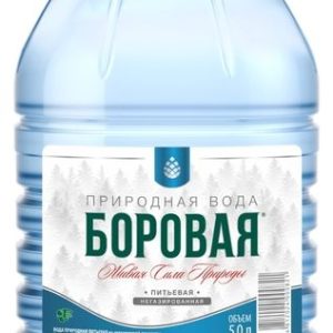"Боровая" 5л