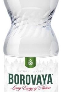 "Боровая лечебно-столовая" 1.5л б/г