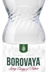 "Боровая лечебно-столовая" 1.5л газ