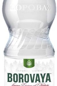 "Боровая лечебно-столовая" 1л б/г