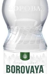 "Боровая лечебно-столовая" 1л газ