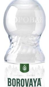 "Боровая лечебно-столовая" 0.5л газ