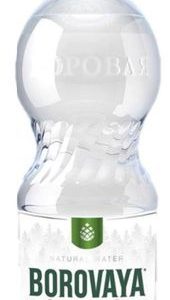 "Боровая лечебно-столовая" 0.5л б/г