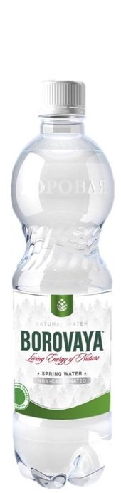 “Боровая лечебно-столовая” 0.5л б/г