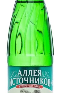Аллея Источников №17 0.5л