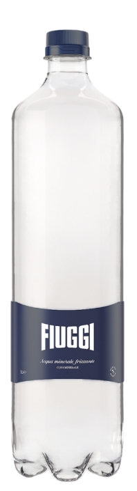 Fiuggi (Фьюджи) 1л газ пэт